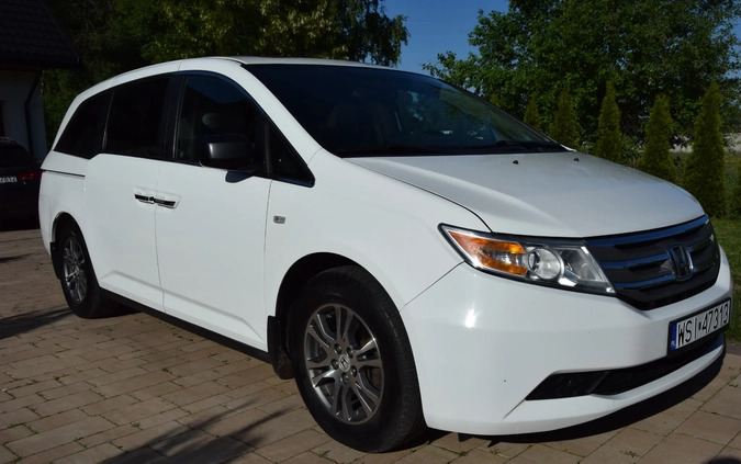 Honda Odyssey cena 59900 przebieg: 214000, rok produkcji 2012 z Siedlce małe 301